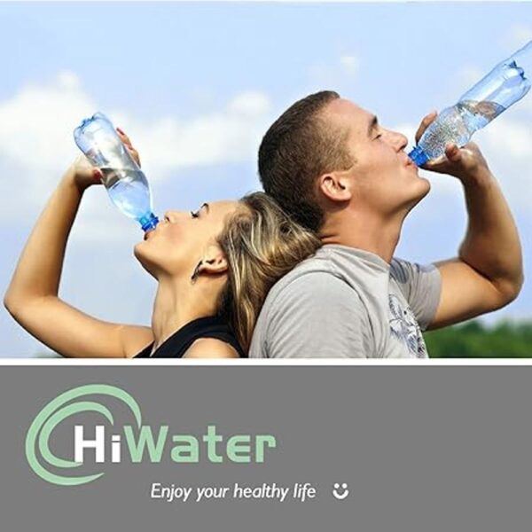 hiwater Filtro de agua para nevera LT700P replacememt