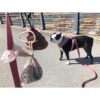 dooloop The Hands Free Dog Poop Holder Bolsa de basura_5