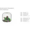 biOrb Lirio de mar_4