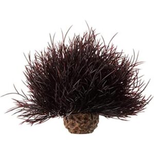 biOrb Lirio de mar_1