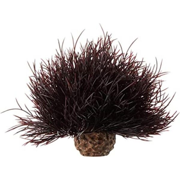 biOrb Lirio de mar_1