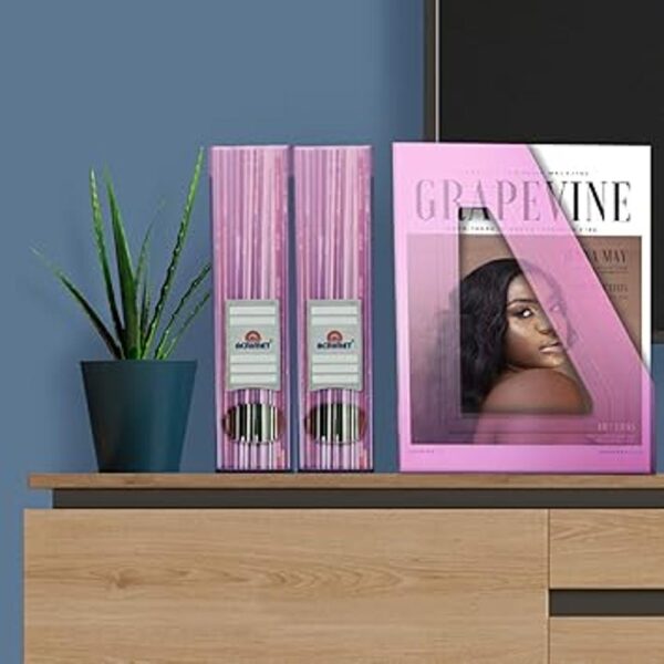 acrimet Magazine File Holder transparente rosa color