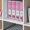 acrimet Magazine File Holder transparente rosa color