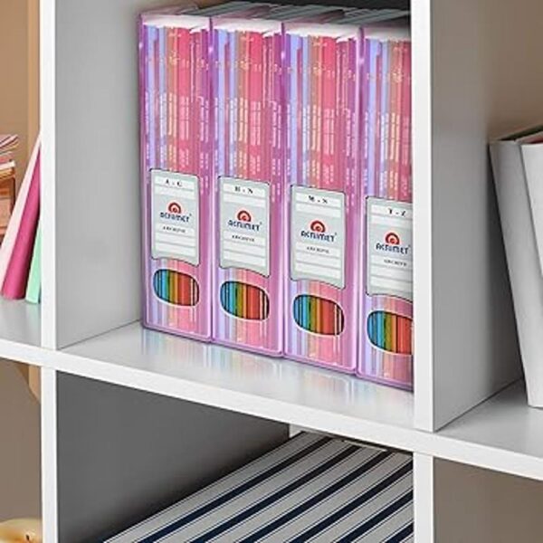 acrimet Magazine File Holder transparente rosa color