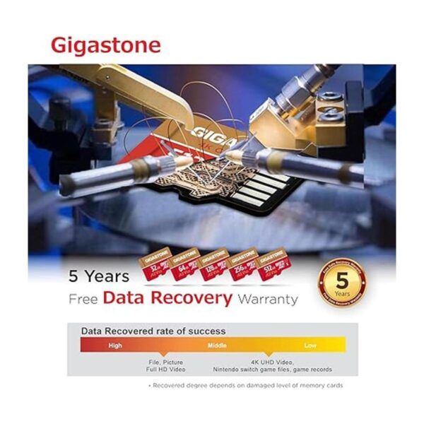 Recuperación de datos gratuita de 5 años Gigastone 128