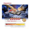 Recuperación de datos gratuita de 5 años Gigastone 128