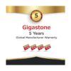 Recuperación de datos gratuita de 5 años Gigastone 128