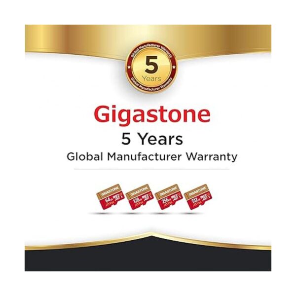 Recuperación de datos gratuita de 5 años Gigastone 128