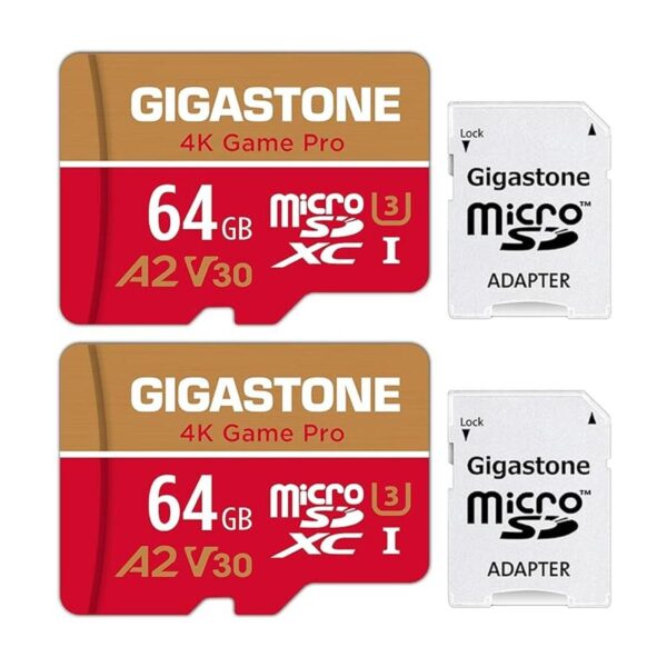 Recuperación de datos gratuita de 5 años Gigastone 64 GB_1