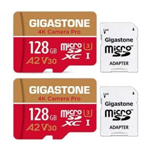 Recuperación de datos gratuita de 5 años Gigastone 128