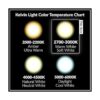 6 Pack Simba iluminación LED clásico Filamento ST21