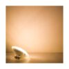 Zorykn PAR36 Bombilla LED de paisaje 9 W 900 lm 50 W