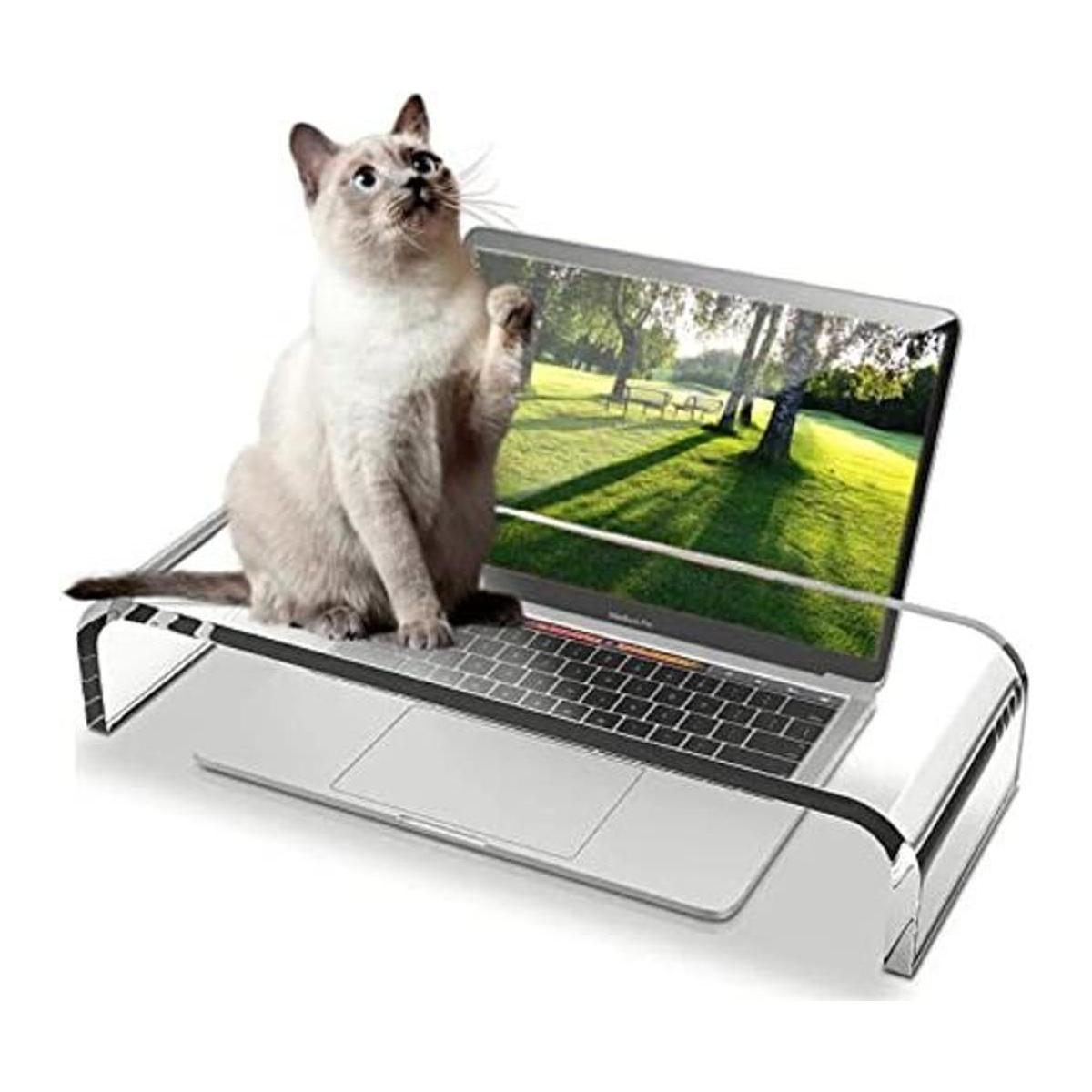 ZEAYIFA Soporte de acrílico transparente para monitor