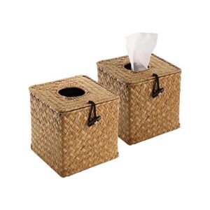 Yesland Paquete de 2 cajas cuadradas de pañuelos faciales