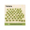 Yetaha 50 piezas modelo de arbustos verdes plantas
