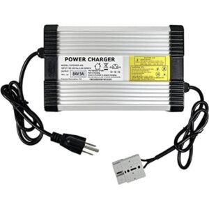 YZPOWER Cargador de salida de 84 V 5 A para el cuidado de_1
