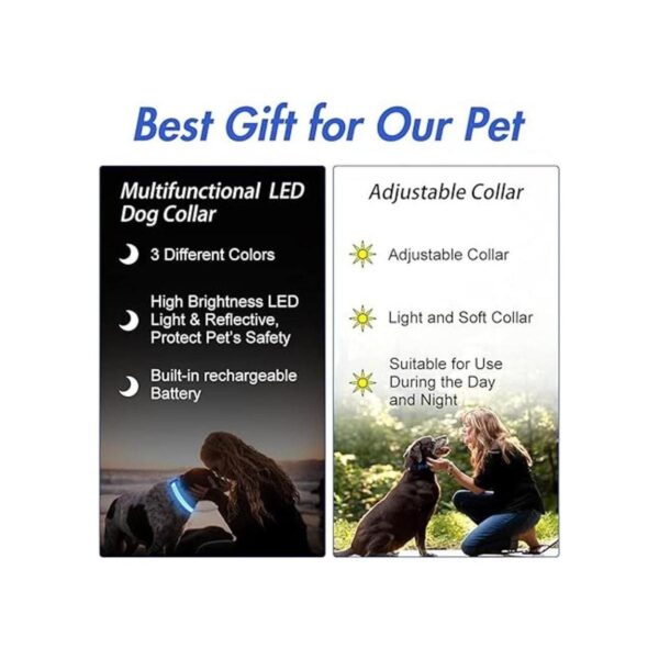 YFbrite Collar de perro LED recargable por USB_6