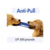 YFbrite Collar de perro LED recargable por USB_4