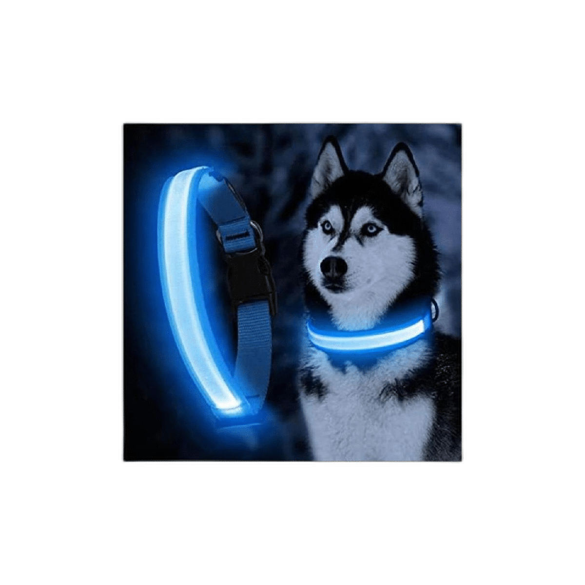 YFbrite Collar de perro LED recargable por USB