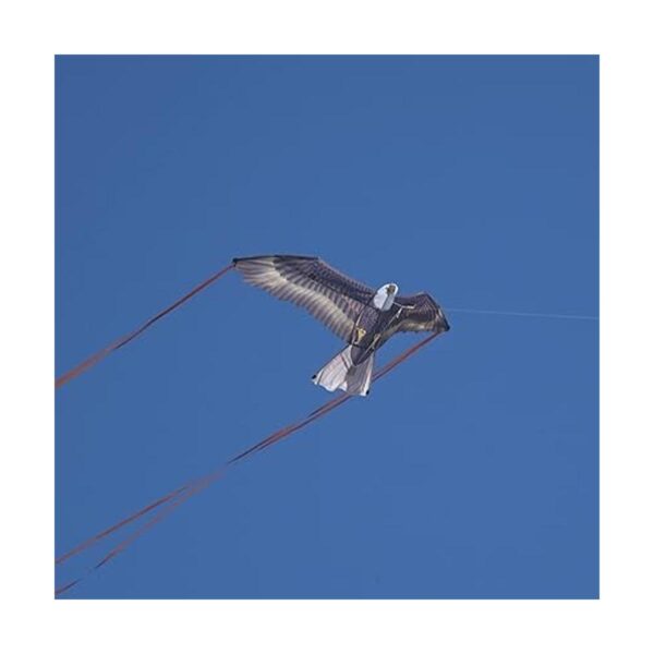 X Kites BirdsofPrey Cometas de nailon para pájaros para_3
