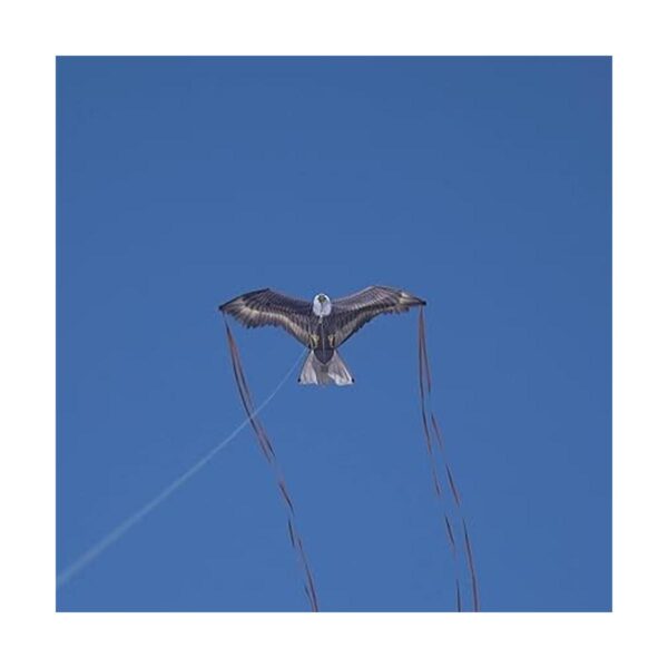 X Kites BirdsofPrey Cometas de nailon para pájaros para_2