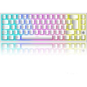 Wried Teclado mecánico para juegos 60 con