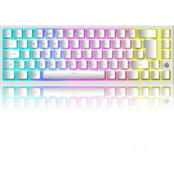 Wried Teclado mecánico para juegos 60 con