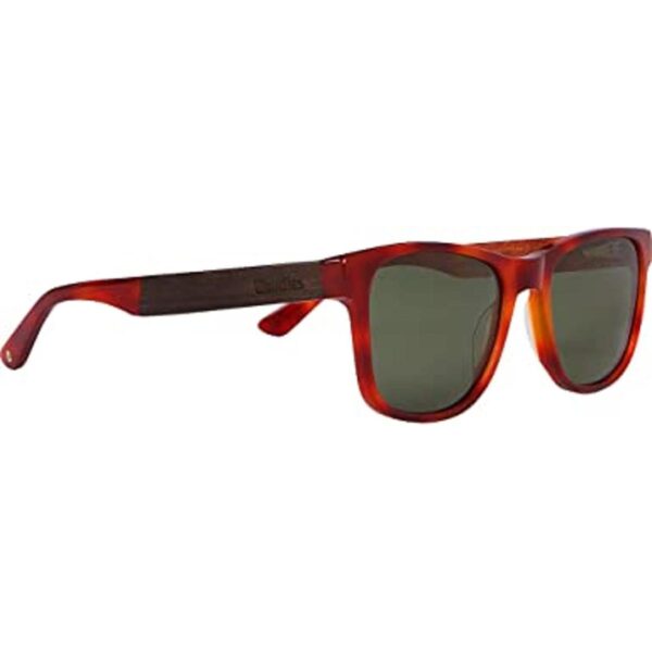 Woodies Lentes de sol de madera de nogal con acetato de