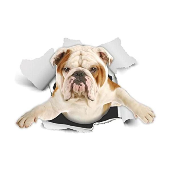 Winston Bear Adhesivos 3D para perros 2 unidades_1