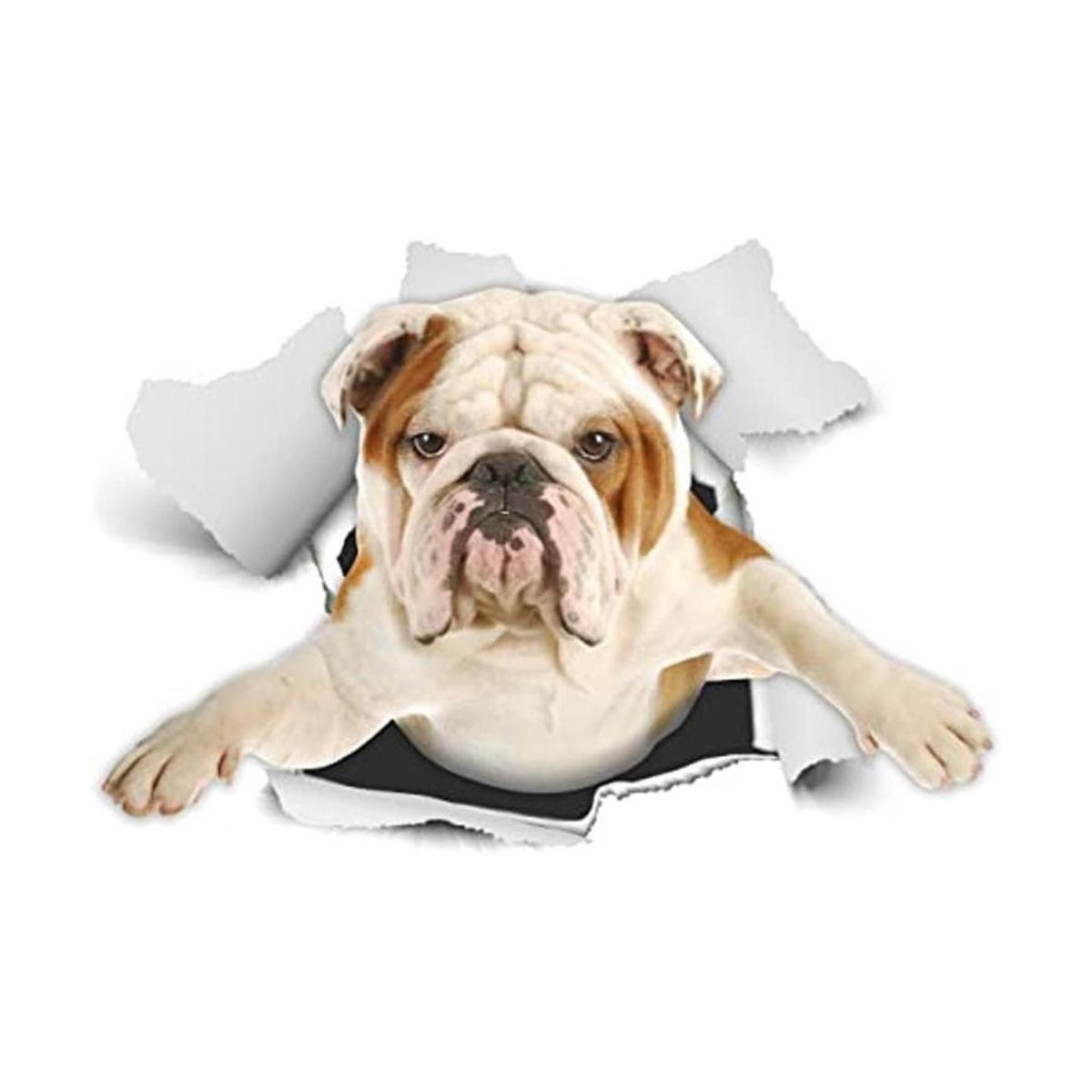 Winston Bear Adhesivos 3D para perros 2 unidades
