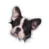 Winston Bear 3D Dog Pegatinas Paquete de 2 Pegatinas_1