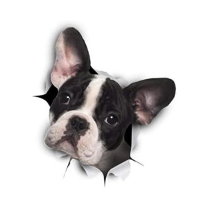Winston Bear 3D Dog Pegatinas Paquete de 2 Pegatinas_1