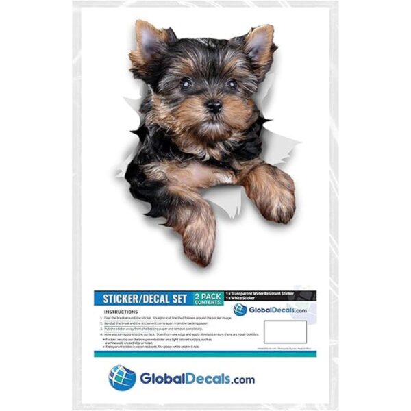Winston Bear 3D Dog Pegatinas Paquete de 2 Cute_6