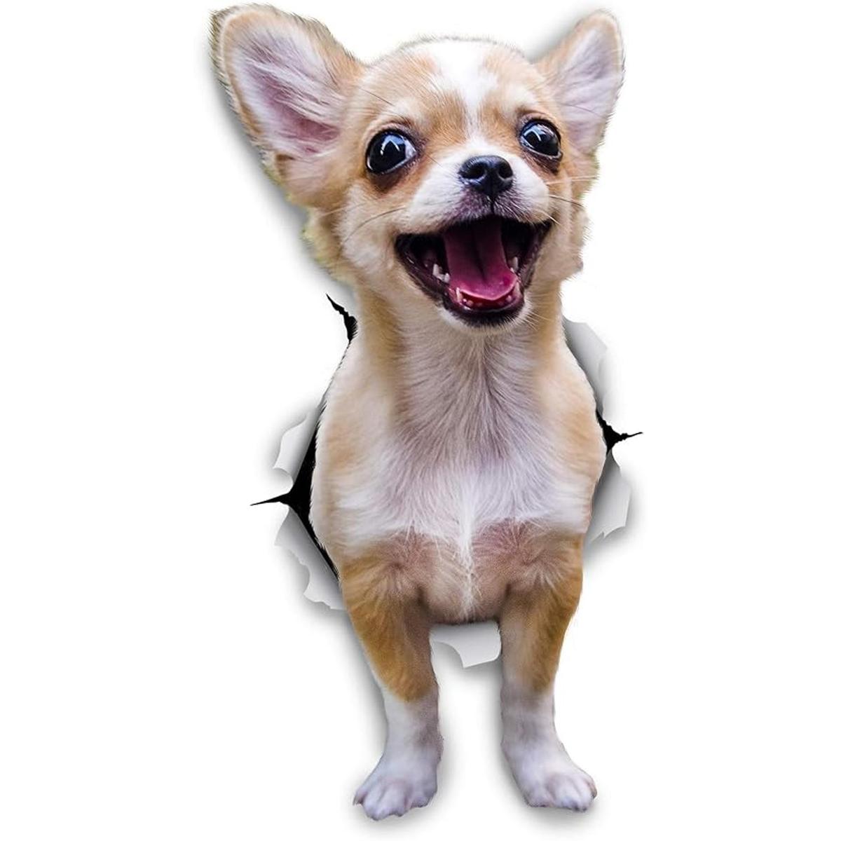 Winston Bear 3D Dog Pegatinas Paquete de 2 Excitado