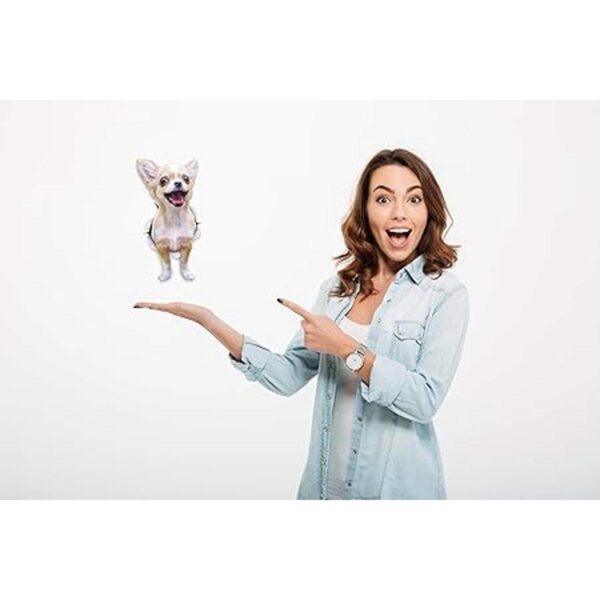 Winston Bear 3D Dog Pegatinas Paquete de 2 Excitado_2