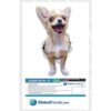 Winston Bear 3D Dog Pegatinas Paquete de 2 Excitado_6