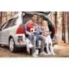 Winston Bear 3D Dog Pegatinas Paquete de 2 Cute_5