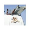 Winston Bear Adhesivos 3D para perros 2 unidades_5