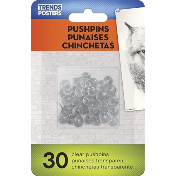 Wall Poster with Push Pins_5