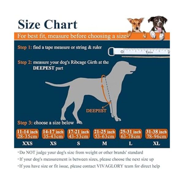 Vivaglory Chaleco salvavidas para perros con acolchado_2