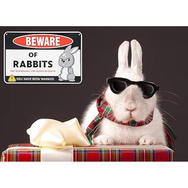 Venicor Beware of Rabbit Decoración de letrero de 8 x 12