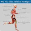 Vendajes cohesivos autoadherentes 6 unidades 2 x 5_6