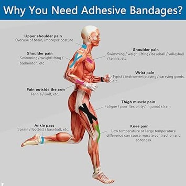 Vendajes cohesivos autoadherentes 6 unidades 2 x 5_6