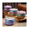 Velas de citronela de cera de soja para interiores velas