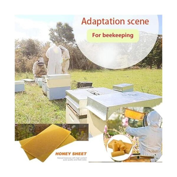 Varybeaty Base de cera de abejas 30 hojas de cera de