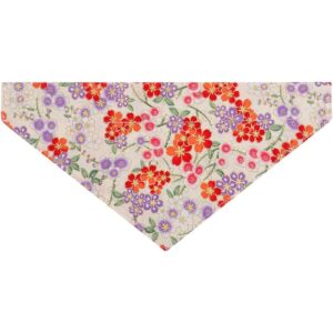 Vaburs Collar de perro y pañuelo para perro collar de