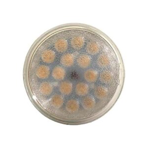 VSTAR LED PAR36 12V 9W 1030V3000K Warm White Lampwith_1