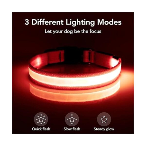 VIZPET Collar LED para perro recargable por USB 100_2