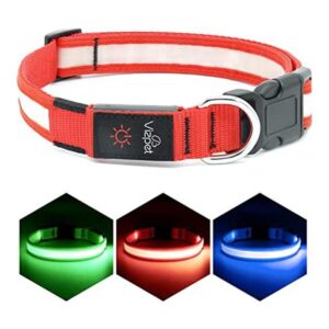 VIZPET Collar LED para perro recargable por USB 100_1