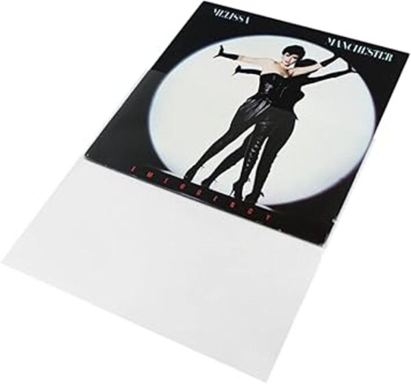 100 Mangas exteriores de 12 LP Record de alta calidad_3